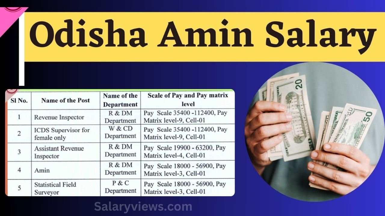 Amin Salary in Odisha